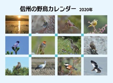 信州の野鳥カレンダー2020