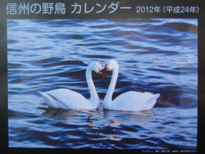 �X�^�W�I�E�R���{����u�M�B�̖쒹�J�����_�[�v�ł��܂����I